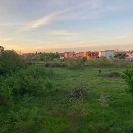 普拉My Little Place In Croatia公寓 外观 照片